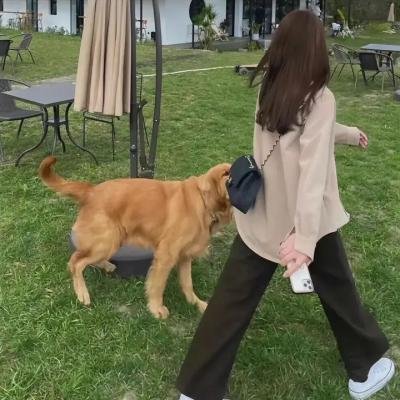 爱在湘西